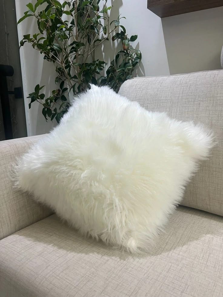 Pillows